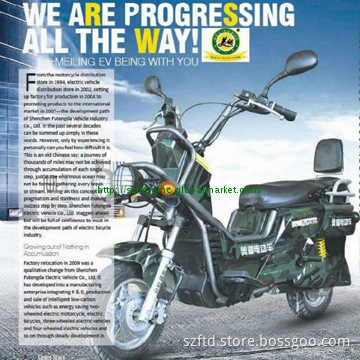 Electric Motorcycle with 1000w Motor